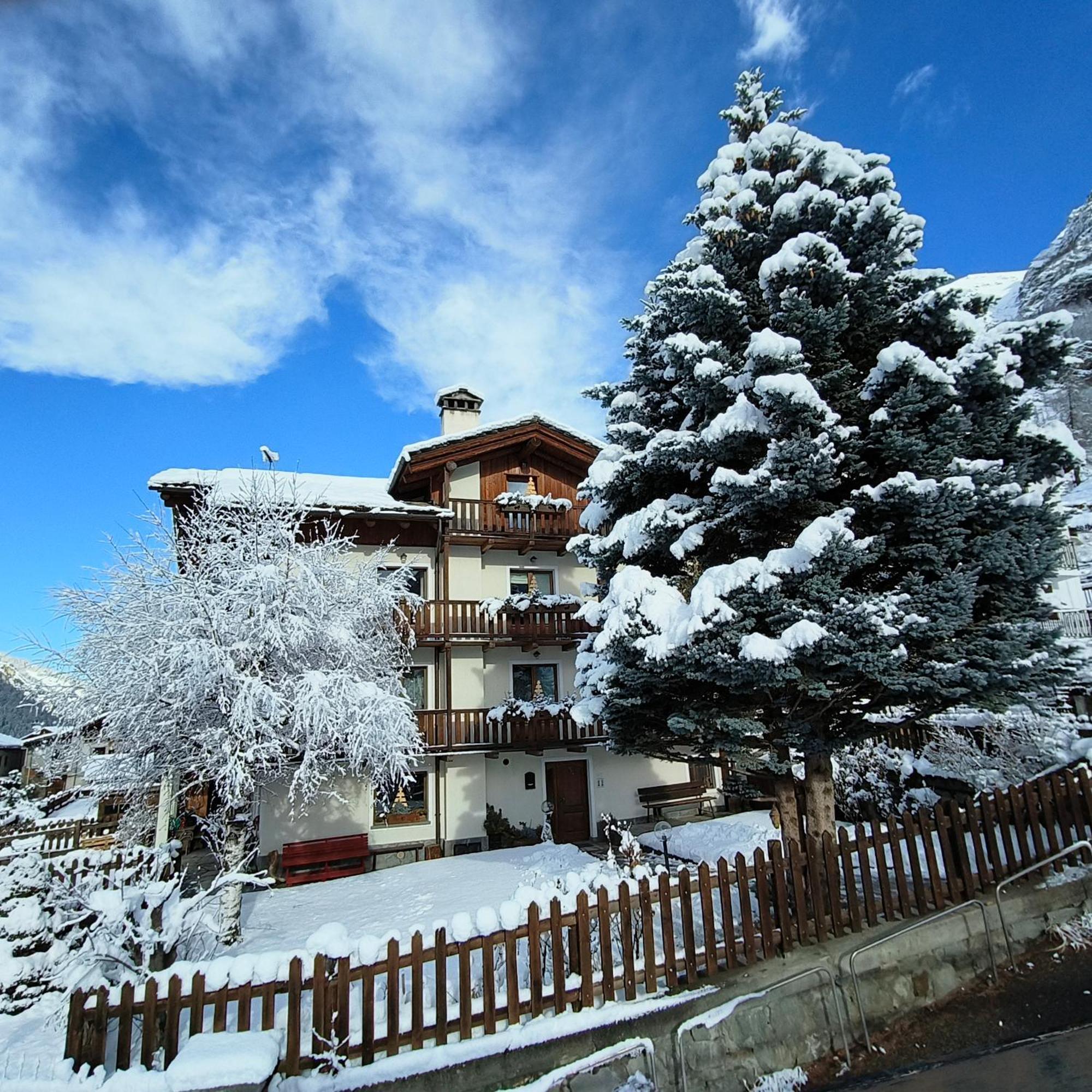 Casa Alfredo Apartment Cogne Exterior photo